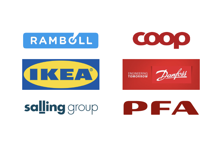 ”Seniorløftet” er et samarbejde mellem Ikea, Salling Group, Coop, Danfoss, Rambøll og PFA